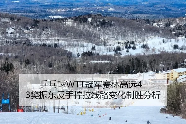乒乓球WTT冠军赛林高远4-3樊振东反手拧拉线路变化制胜分析